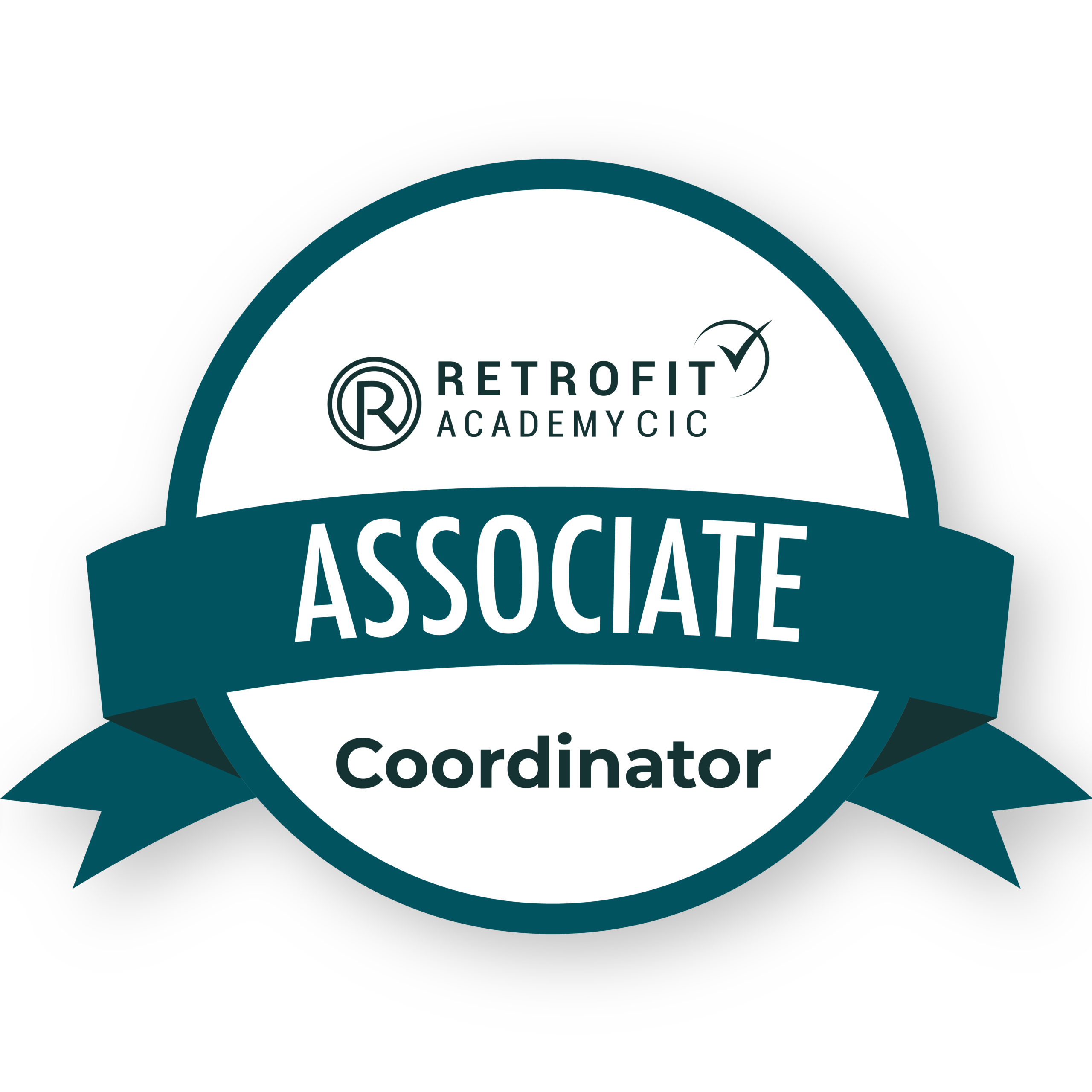 Associate - Coordinator 3D